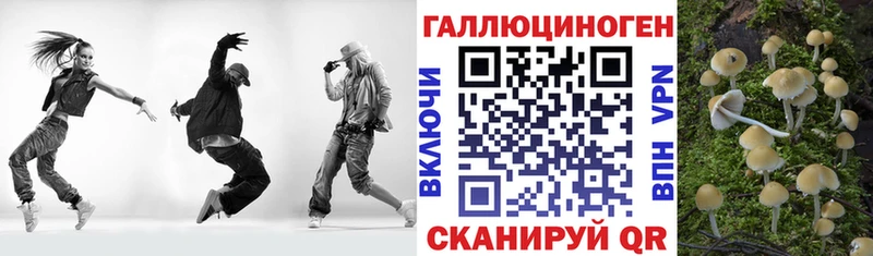 Псилоцибиновые грибы прущие грибы  Скопин 